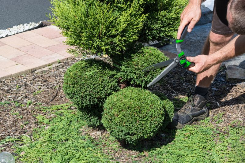 Shrubs with Fresh Trims