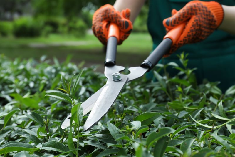 Close-up of Shrub Trimming Tools