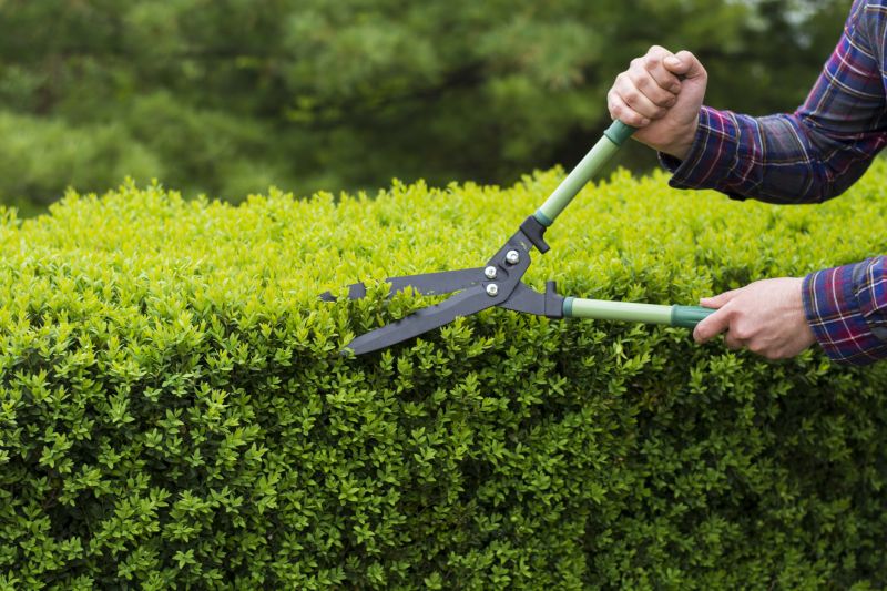 Tools for Shrub Trimming